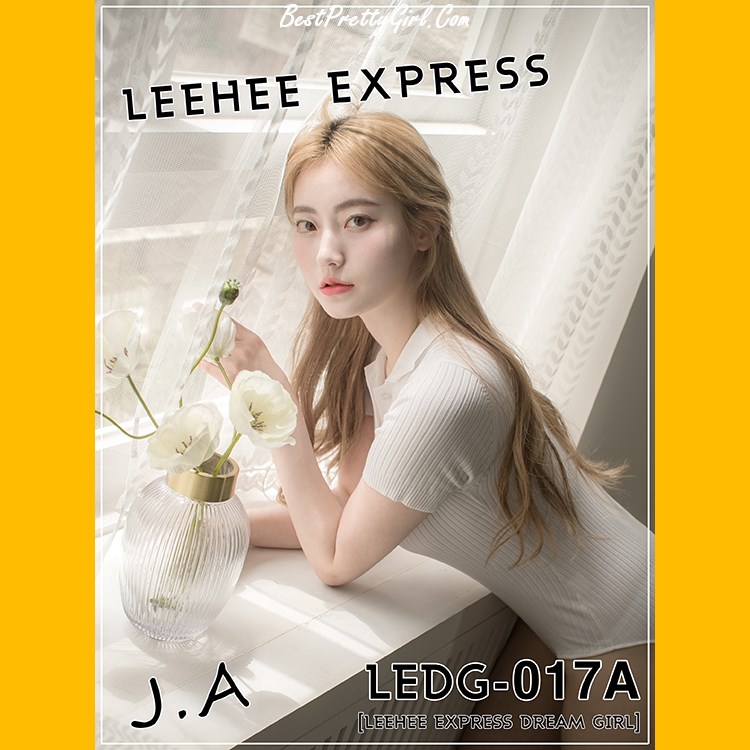 LEEHEE EXPRESS LEDG 017AB J.A 099