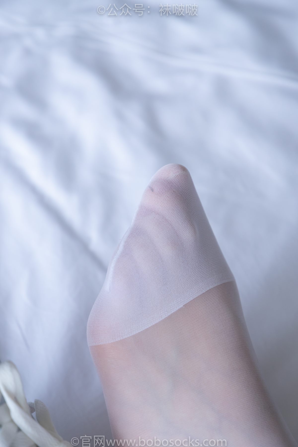 BoBoSocks袜啵啵 NO 005 小甜豆 0056 1697168056.jpg