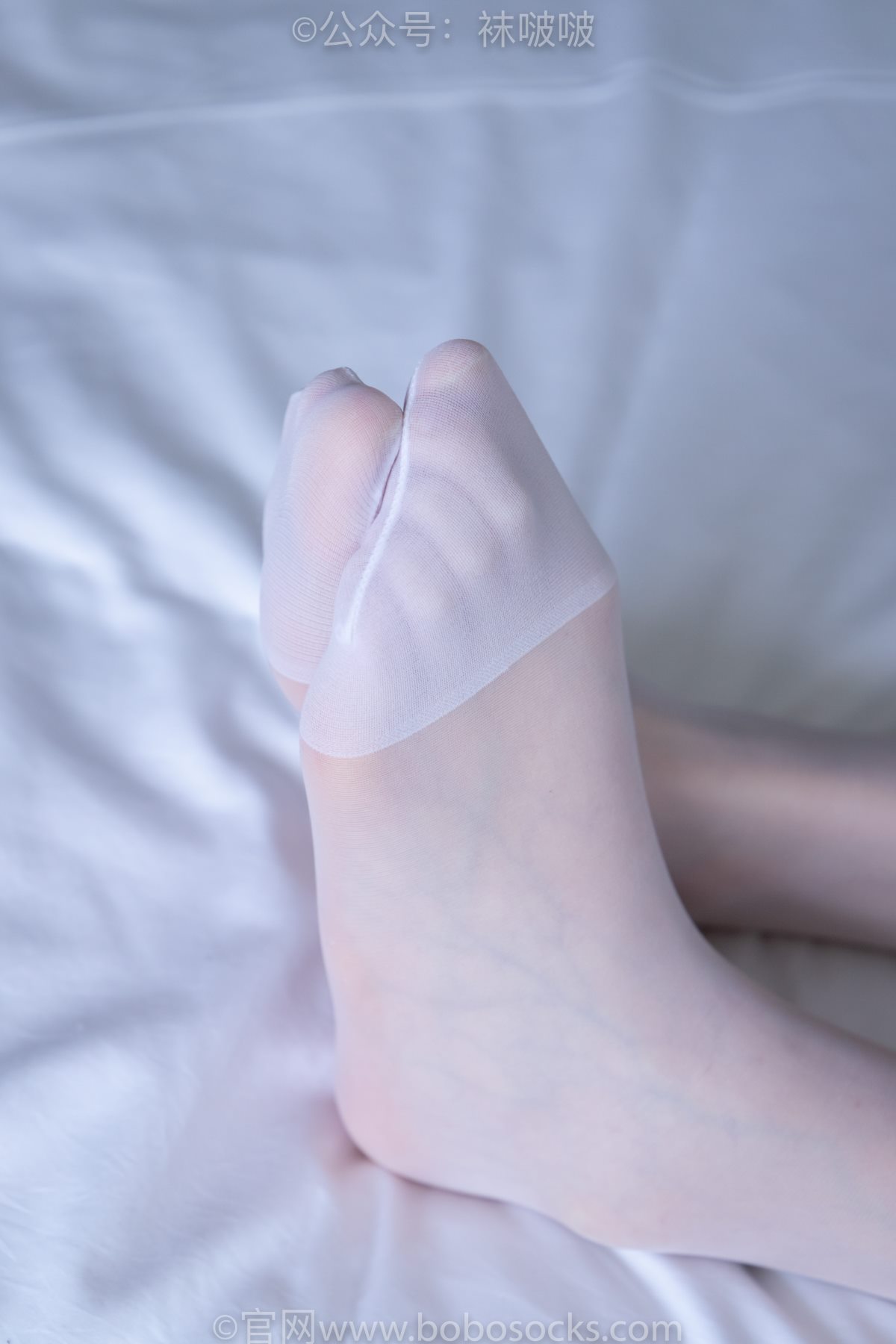 BoBoSocks袜啵啵 NO 005 小甜豆 0071 6873882376.jpg