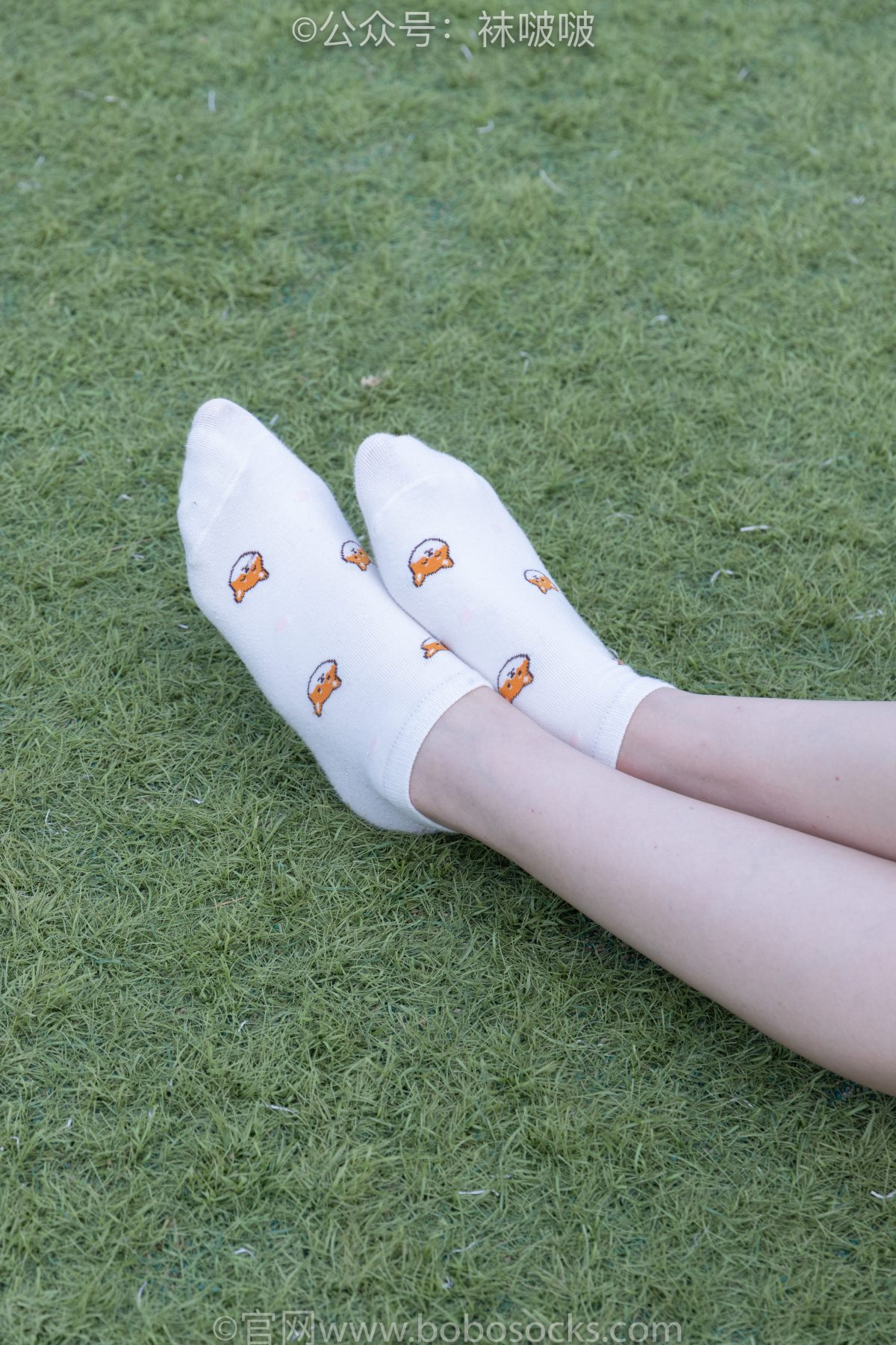 BoBoSocks袜啵啵 NO 010 小甜豆 0060 9132327881.jpg