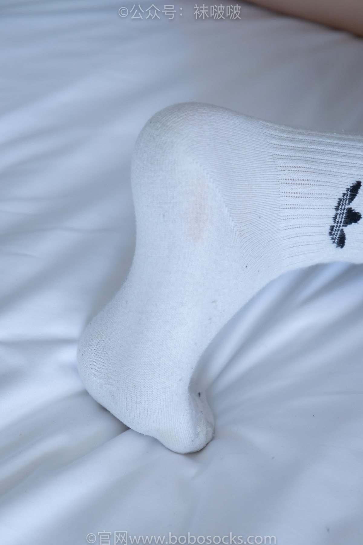 BoBoSocks袜啵啵 NO 003 果冻 0067 5987223013.jpg