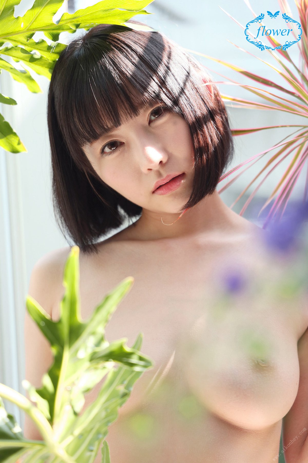 Photobook FLOWER Yui Shirasaka 白坂有以 Vol 07 0007 3702945422.jpg