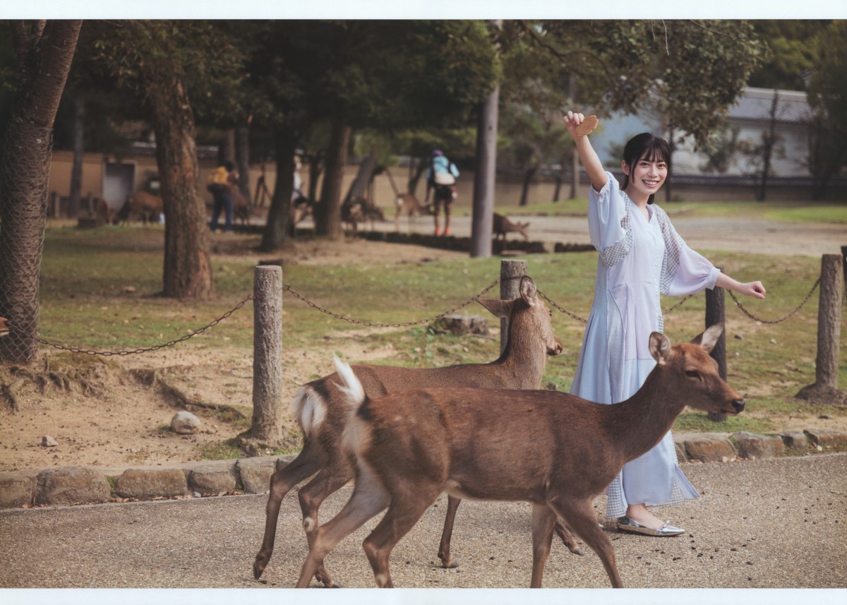 Photobook 日向坂46 東村芽依1st写真集 見つけた A 0030 5764119910.jpg