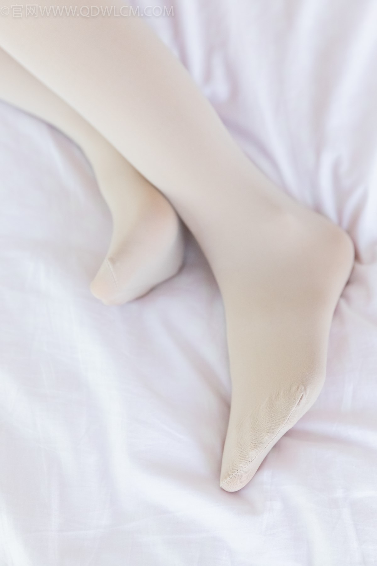 BoBoSocks袜啵啵 NO 971 Cai Cai 0076 0248311551.jpg