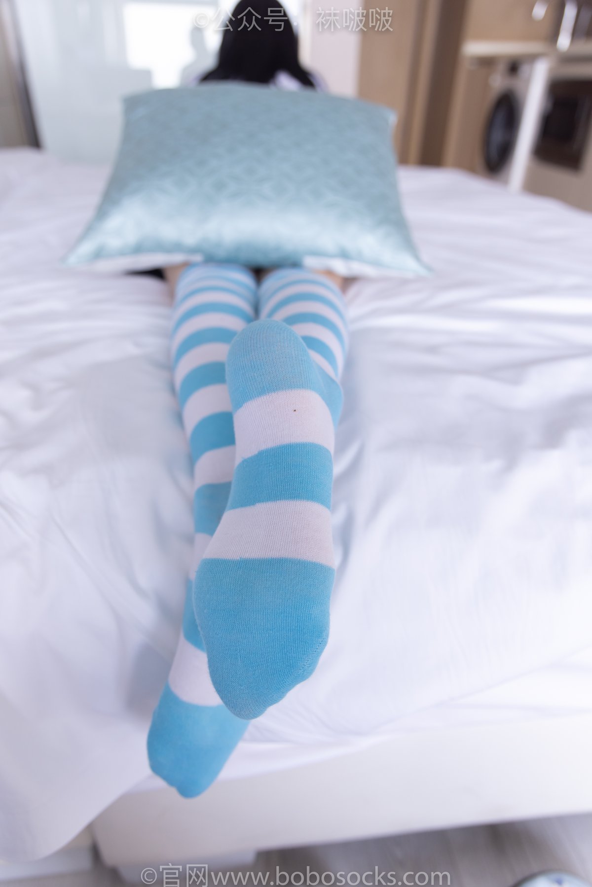 BoBoSocks袜啵啵 NO 070 Zhi Yu B 0061 7759329553.jpg