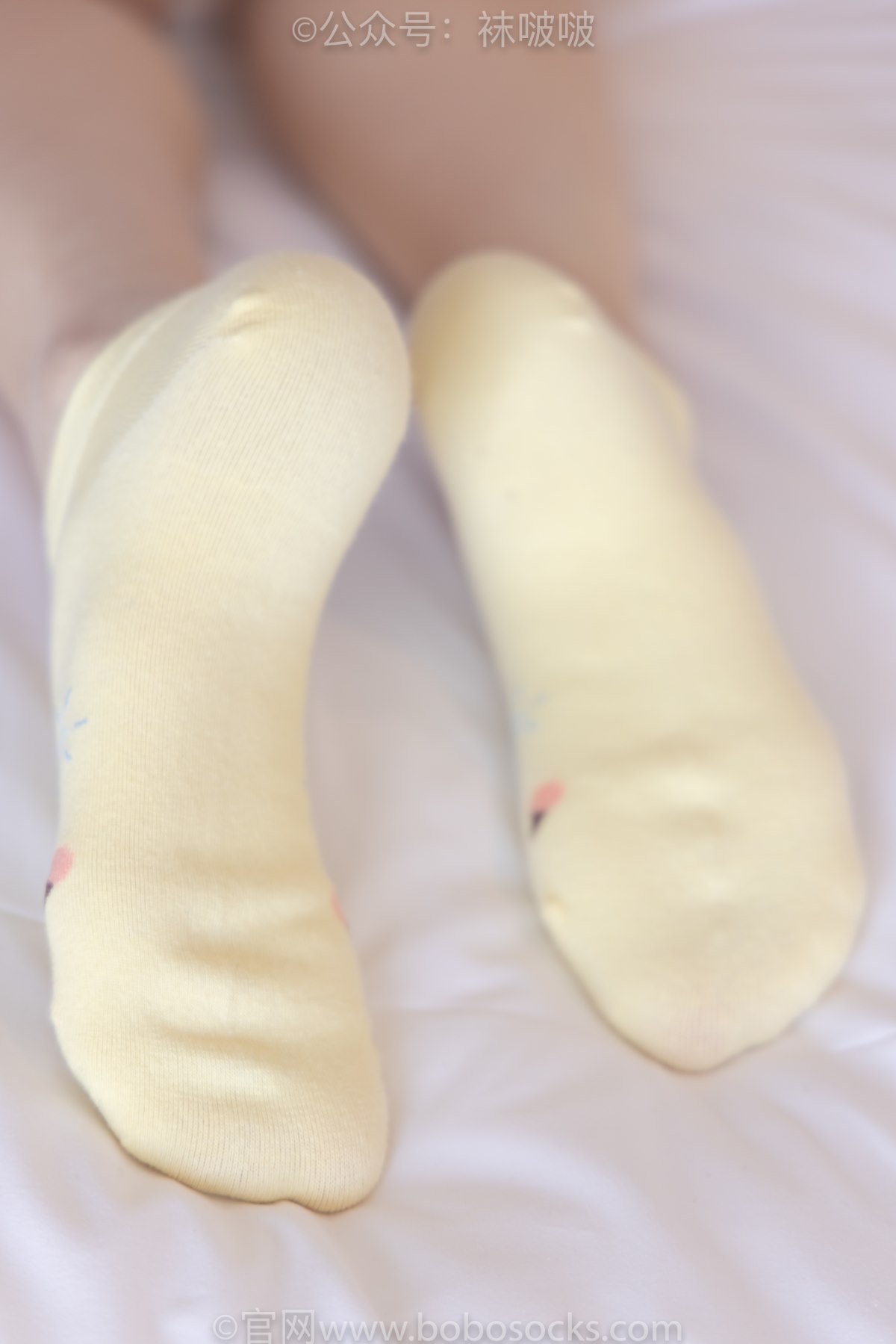 BoBoSocks袜啵啵 NO 081 Zhi Yu B 0045 7062450214.jpg