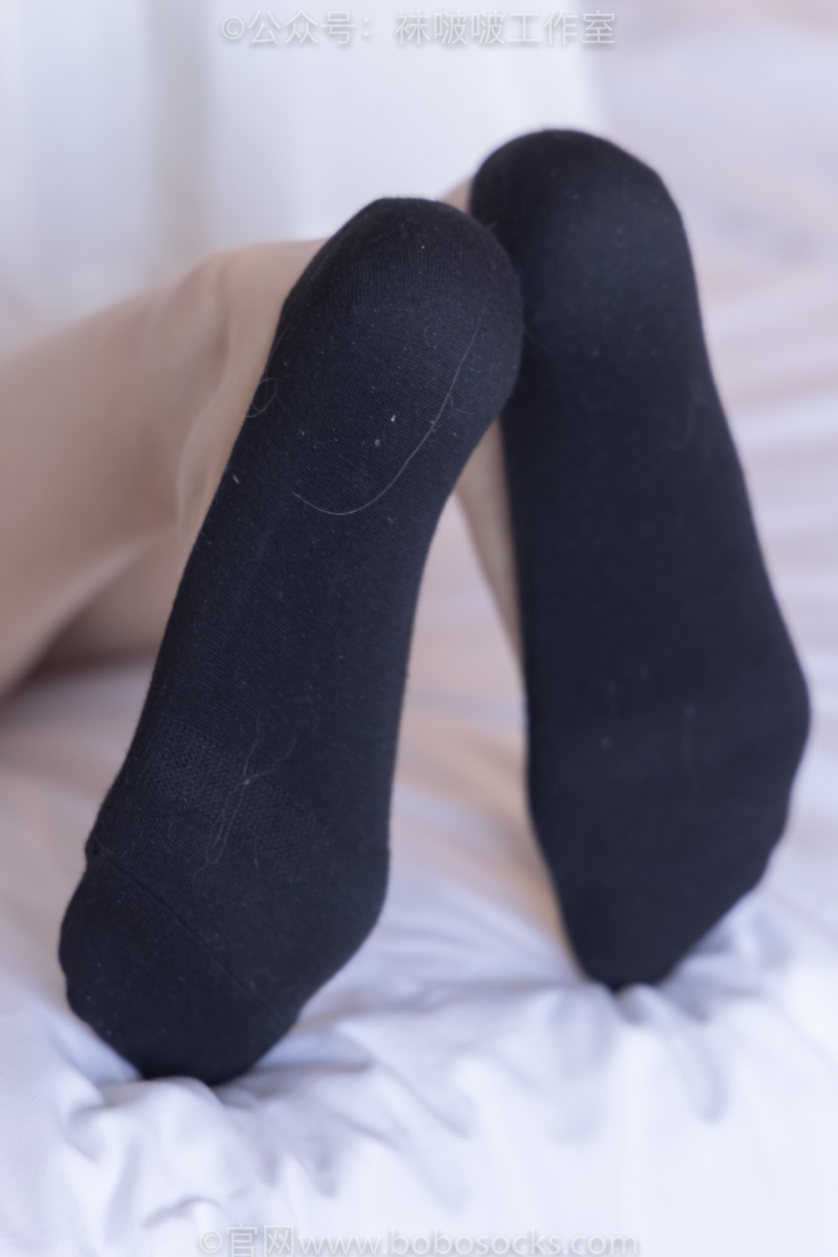 BoBoSocks袜啵啵 NO 091 Zhi Yu B 0051 8429556086.jpg