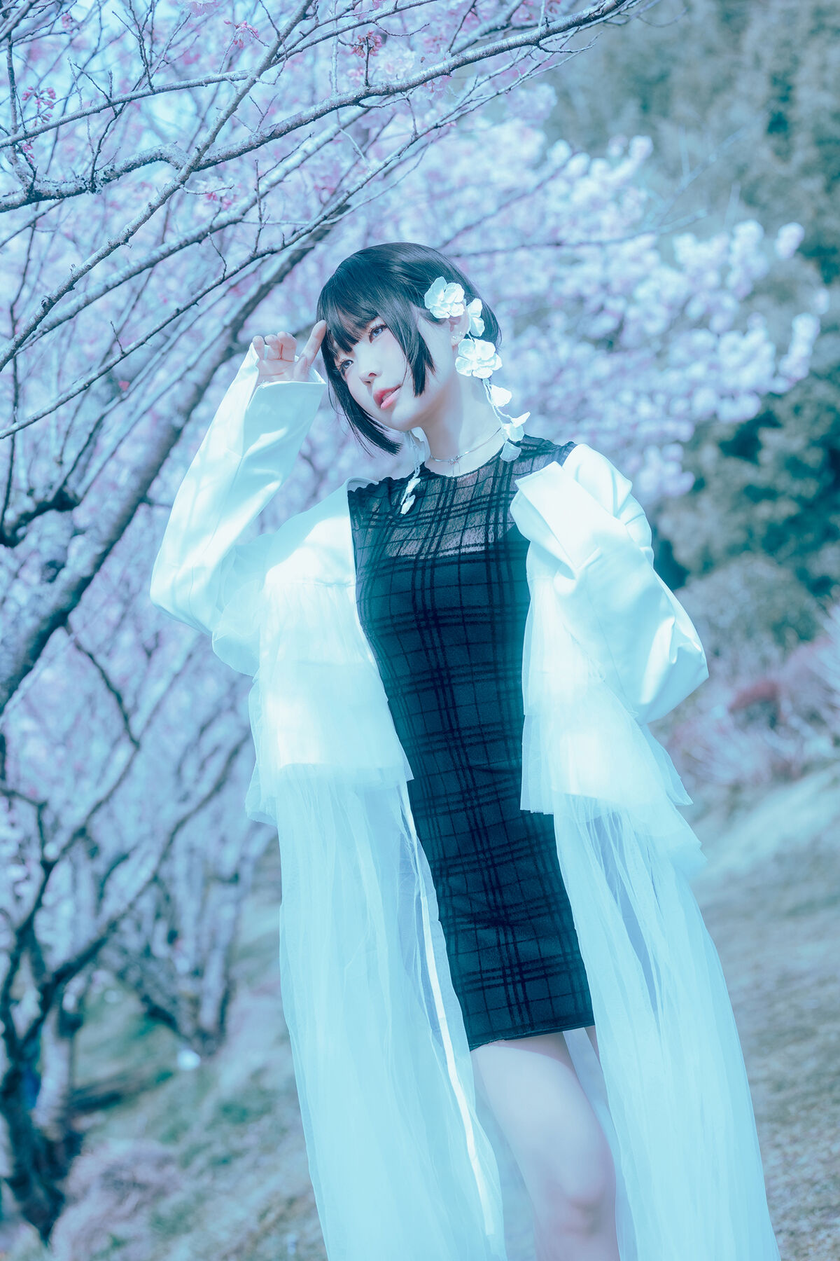 Coser@Elyee 2024年4月 Pink Sakura17 0001 1182766604.jpg