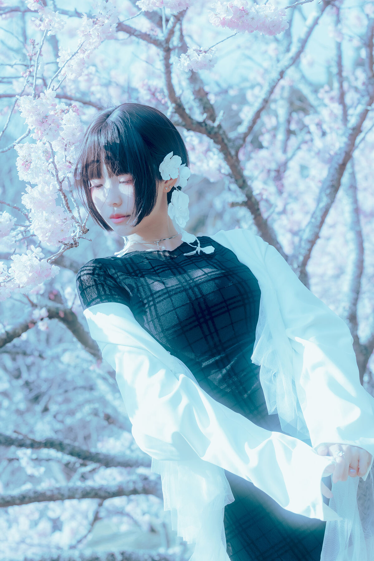 Coser@Elyee 2024年4月 Pink Sakura17 0002 1729946203.jpg