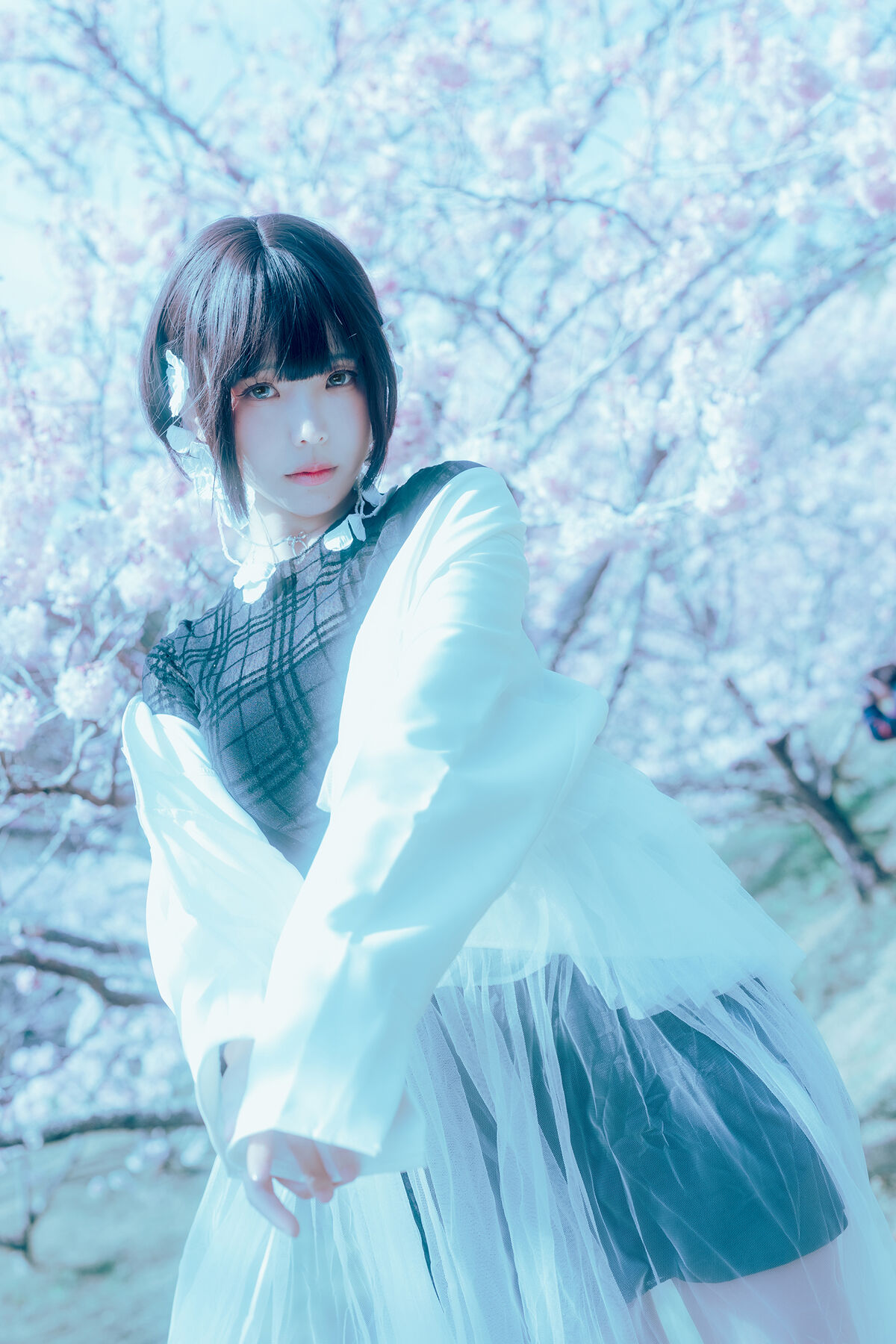 Coser@Elyee 2024年4月 Pink Sakura17 0008 2604118545.jpg