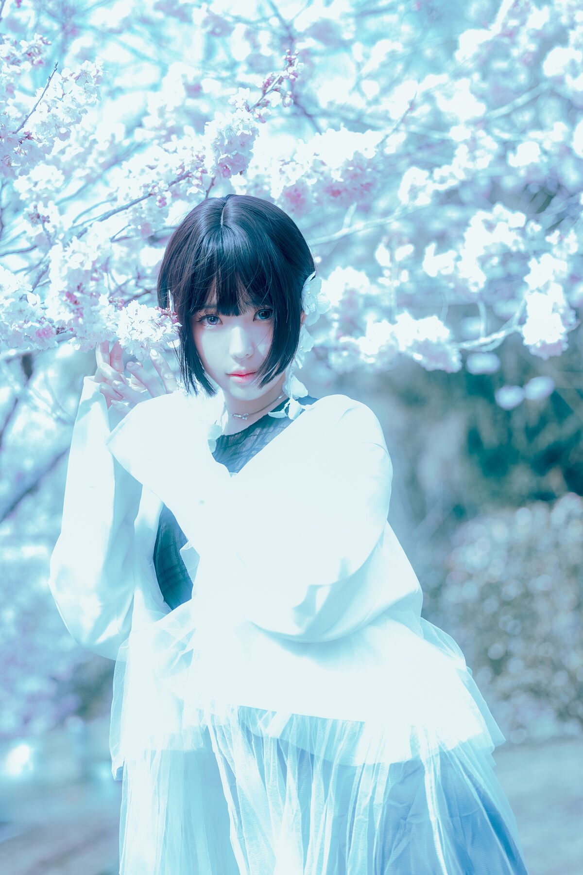 Coser@Elyee 2024年4月 Pink Sakura17 0023 5382927813.jpg