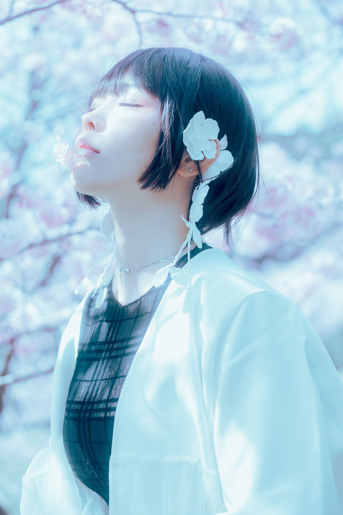 Coser@Elyee 2024年4月 Pink Sakura17 0033 2772014930.jpg